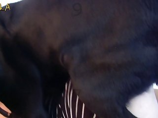 Teen Fuck Dog 2022
