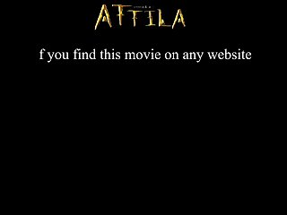 Can Horses And Zebras Mate