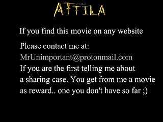 Can Horses And Zebras Mate