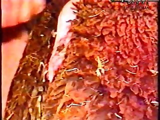 Sex With Animal Story