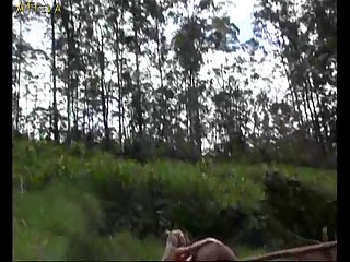 Short Stories Of Animal Sex