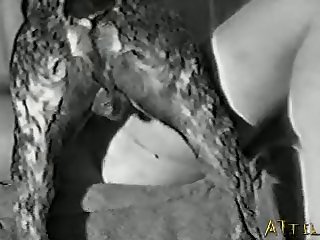 Black Woman Fucks Dog Porn