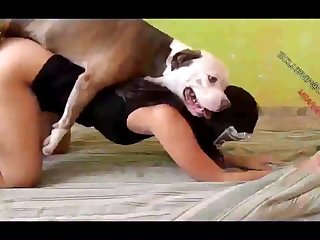 Dog Vore Porn