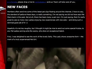 Horse Kissing Porn