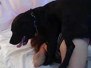 Teen Dog Porn Stories