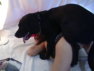 Teen Dog Porn Stories