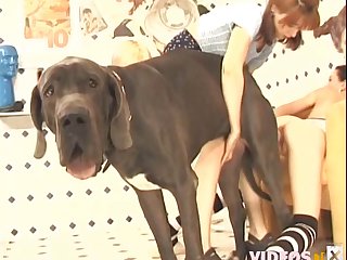 Women Having Sex With Animal Porn