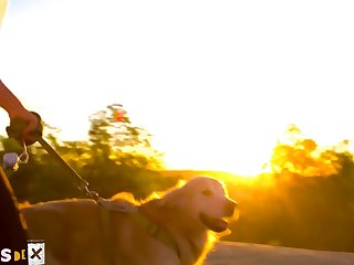 Animal Sex Stories Porn