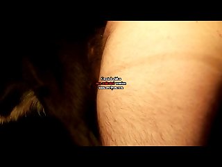 Sex Animal Video Porno