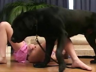 Porno De Manga Animal
