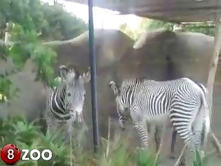 Jetted For The Tip Of His Cock And Fill My Hole