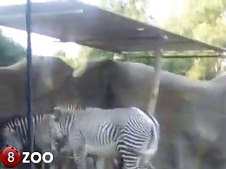 Jetted For The Tip Of His Cock And Fill My Hole