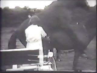 As Buster’s Cock Vibrated And Slammed Into Me His