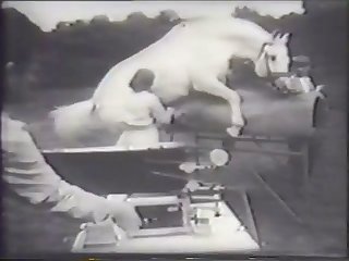 As Buster’s Cock Vibrated And Slammed Into Me His