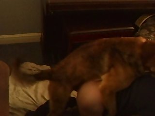 Bd De Boruto Xxx Porn