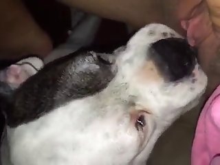 Boy Porn Xxx Video