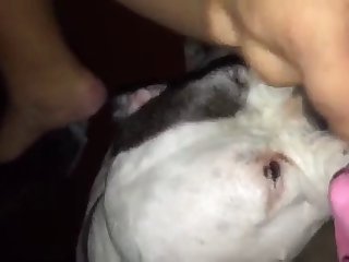 Boy Porn Xxx Video