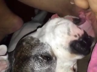 Boy Porn Xxx Video