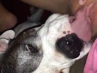 Boy Porn Xxx Video