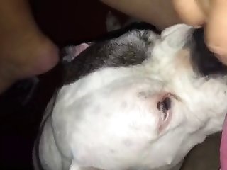 Boy Porn Xxx Video