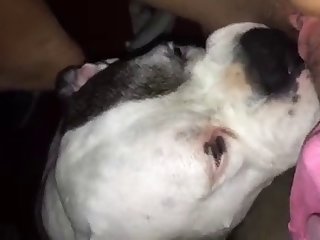 Boy Porn Xxx Video