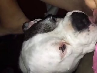 Boy Porn Xxx Video