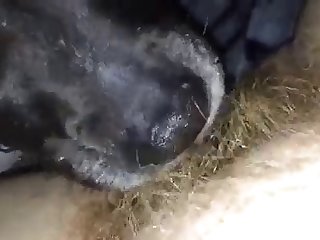 Diane Xxx Porn