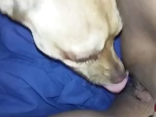 Barbie Doll Dick Porn Xxx