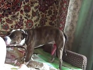 Dylan O Brien Xxx Porn