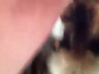Xxx Porn Young Sister