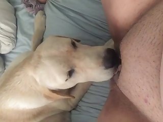 Pinay Andrea Brillantes Xxx Porn