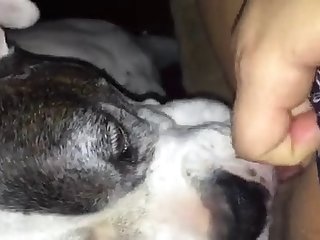 Xxx Porn Stare