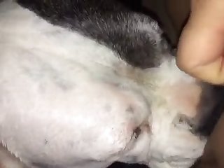 Xxx Porn Stare