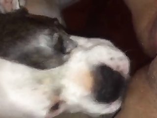 Awek Tik Tok Xxx Porn