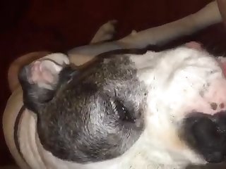 Awek Tik Tok Xxx Porn