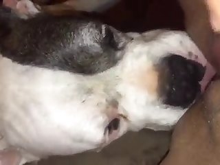 Awek Tik Tok Xxx Porn