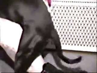 New Beautiful Xxx Porn
