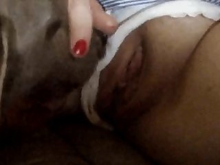Ebony Porn Hub Xxx