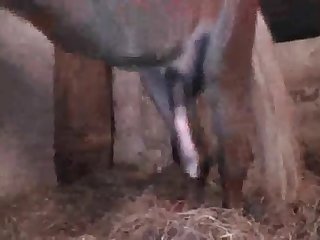 Xxx Very Hard Porn Videos