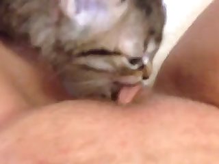 Tik Tok Porn Xxx Videos