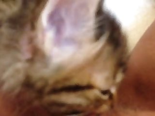 Tik Tok Porn Xxx Videos