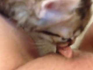 Tik Tok Porn Xxx Videos