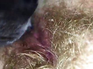 Public Humiliation Gangbang Hd Xxx Porn