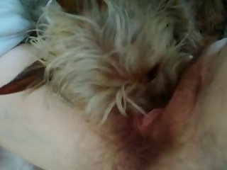 Xxx Sexmex Porn Videos