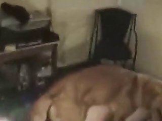 Harry Potter Xxx Parody Porn