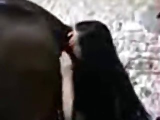 Xxx Porn Skachat