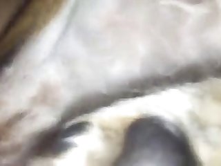 Baldos Scandal Xxx Porn