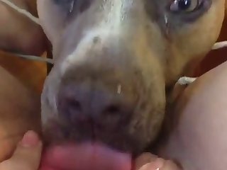 Small Boy Big Girl Xxx Porn