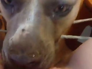 Small Boy Big Girl Xxx Porn