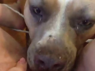Small Boy Big Girl Xxx Porn